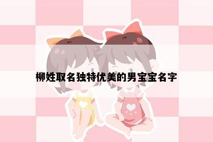 柳姓取名独特优美的男宝宝名字