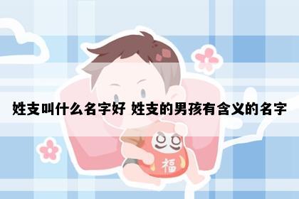 姓支叫什么名字好 姓支的男孩有含义的名字
