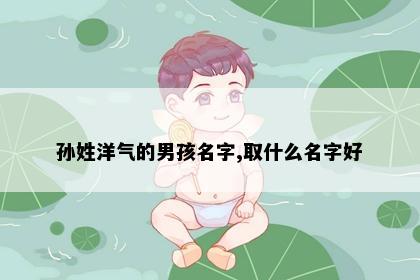 孙姓洋气的男孩名字,取什么名字好