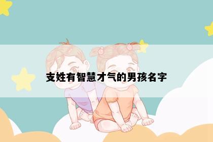 支姓有智慧才气的男孩名字