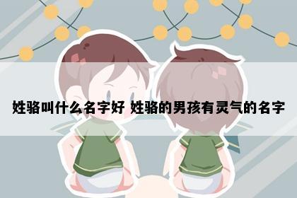 姓骆叫什么名字好 姓骆的男孩有灵气的名字