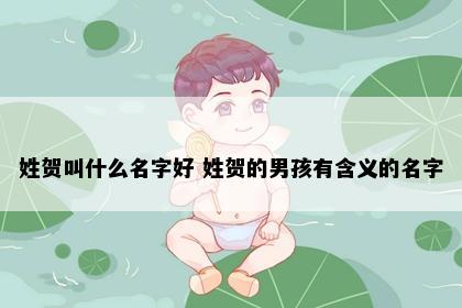 姓贺叫什么名字好 姓贺的男孩有含义的名字